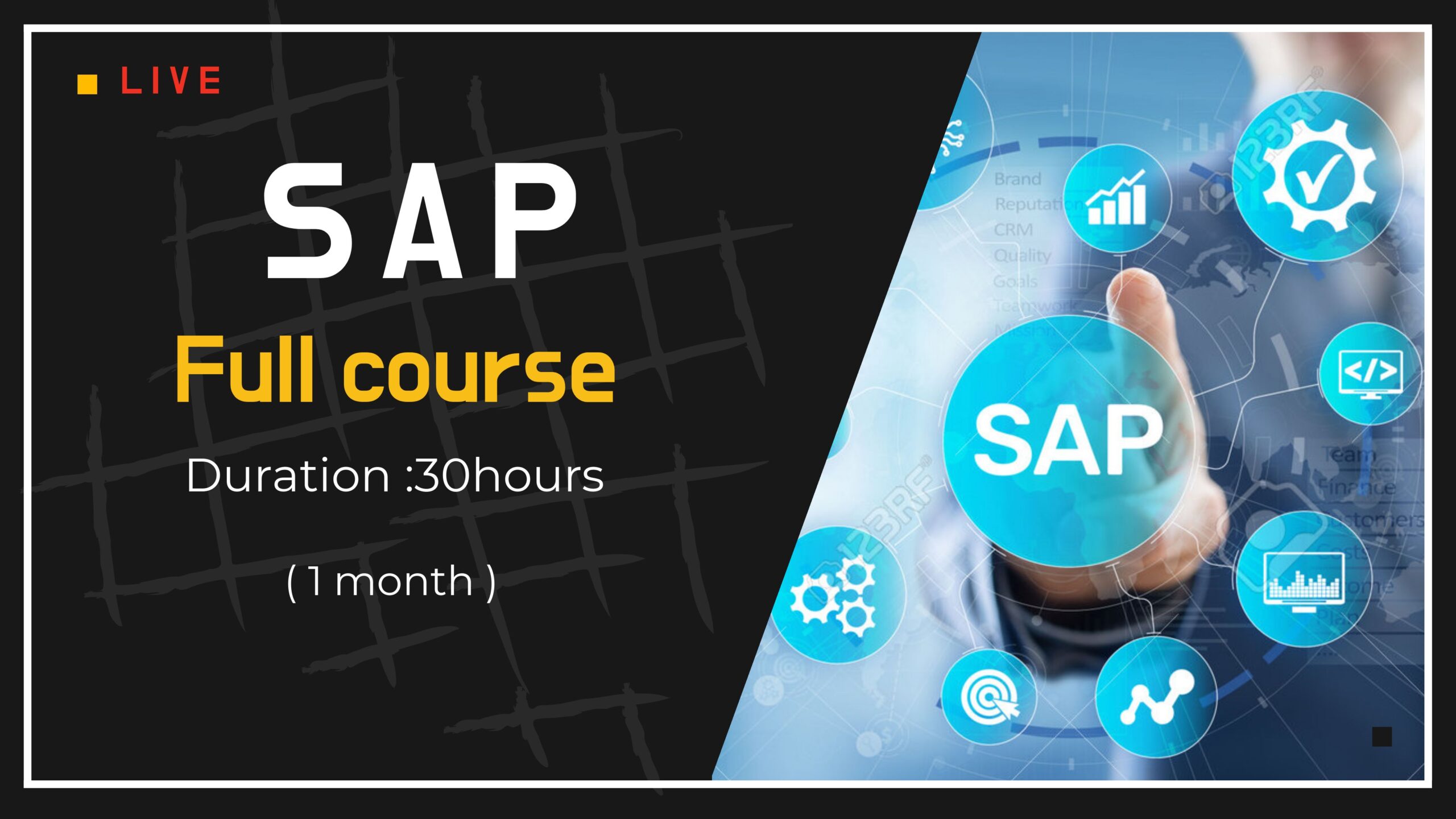 SAP Course